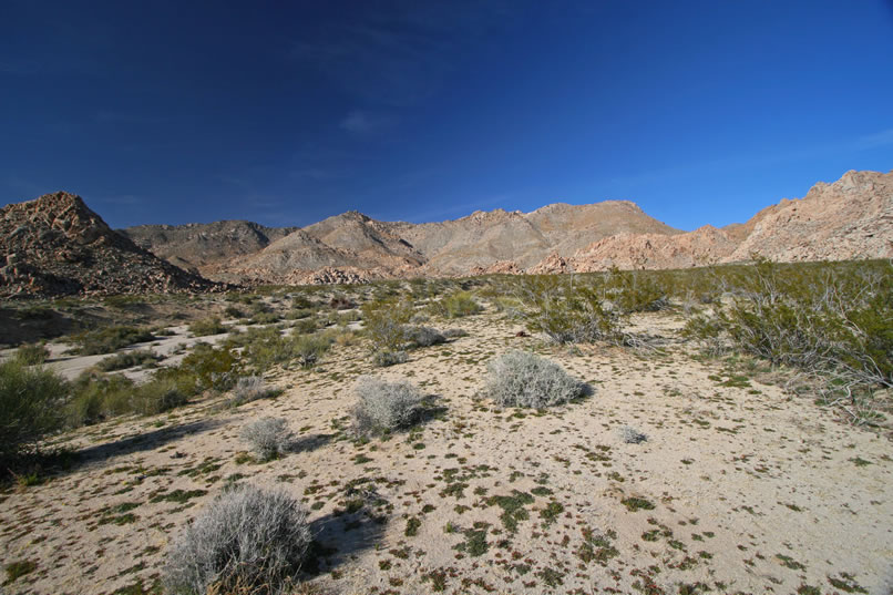 Well, we could use some of that whiskey about now.  We're tired.  It's been a long day and, as we cross a major wash,  we're finally headed back toward camp.