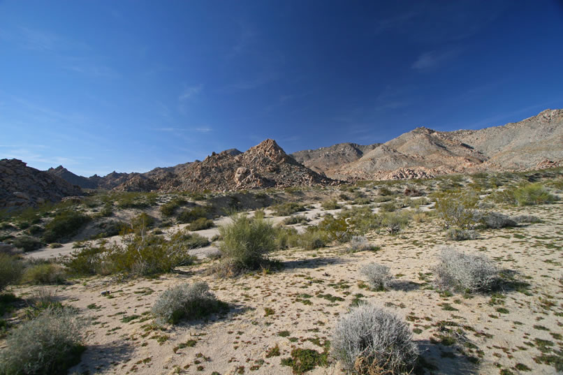 This view is looking back across the wash we just crossed at the rugged granite hills.