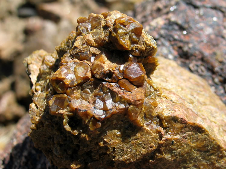 Higher up the hill, Niki discovers an outcrop of garnet crystals.