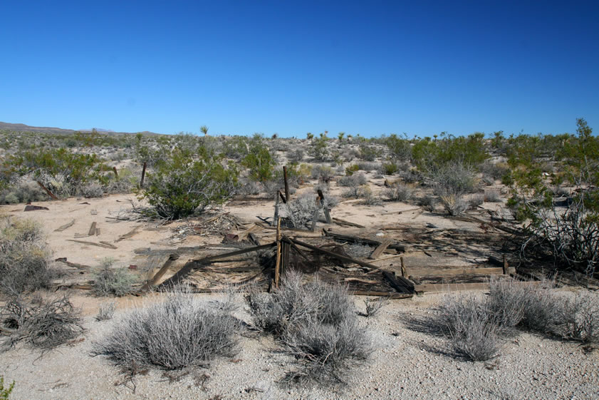 We figure that these old mattresses and bed frames, all wrapped with chicken wire, were used to form a pen for poultry or some other food source.