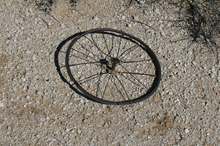 The front wheel of a tricycle.