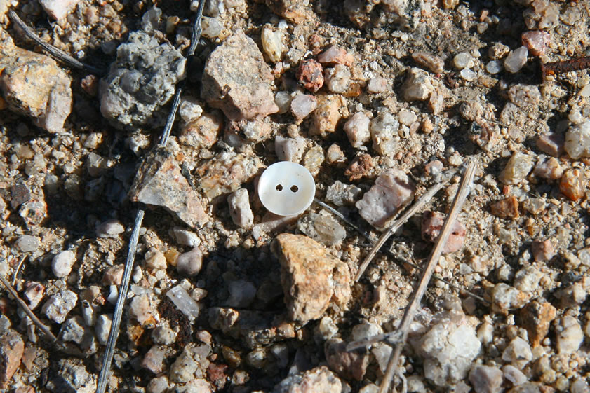 A small button made from real shell.