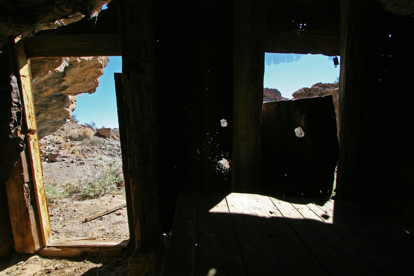 Looking out the front door and window.