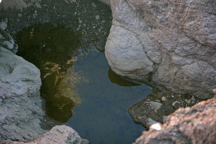 A look into the natural tank.