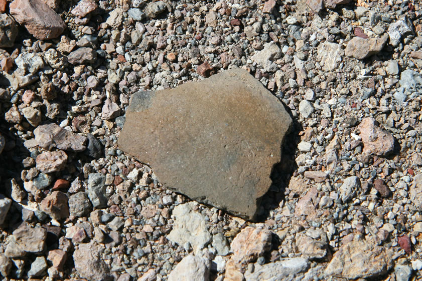 Here's a look at the pottery sherd that Niki found.