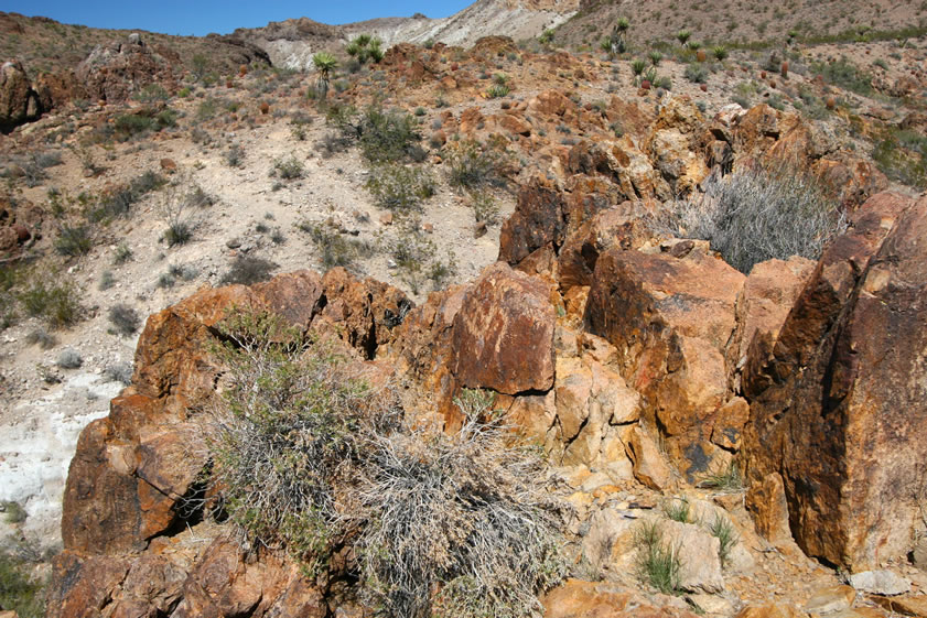 Some of the rocks on this little plateau above the pictos have petroglyphs on them.