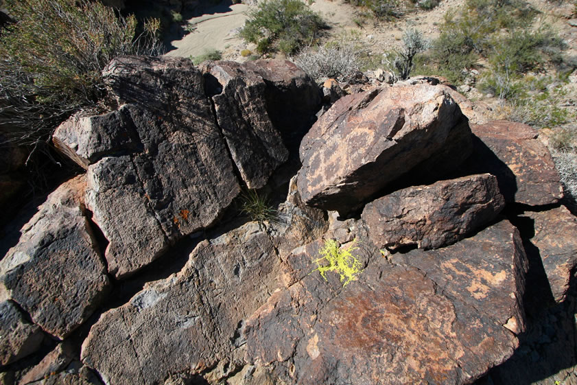 A different view of the petroglyphs with the wash just visible at the top of the photo.