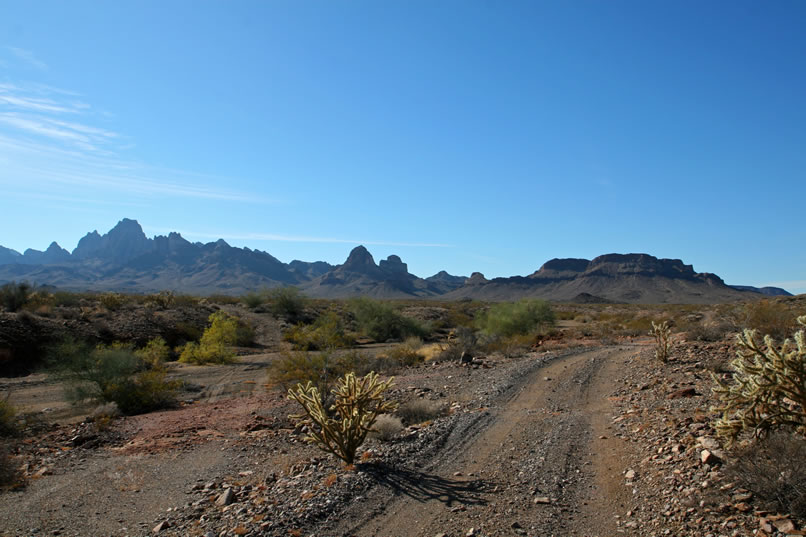 Once clear of the mud and sand of Chemehuevi Wash, we turn toward Turtle Basin and its unmistakable landmarks, the squared off shoulders of Mexican Hat Mountain with Mohawk Peak to its left.