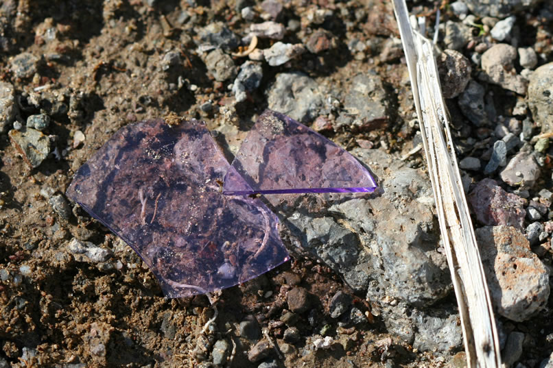 A couple of the larger pieces of purple glass.