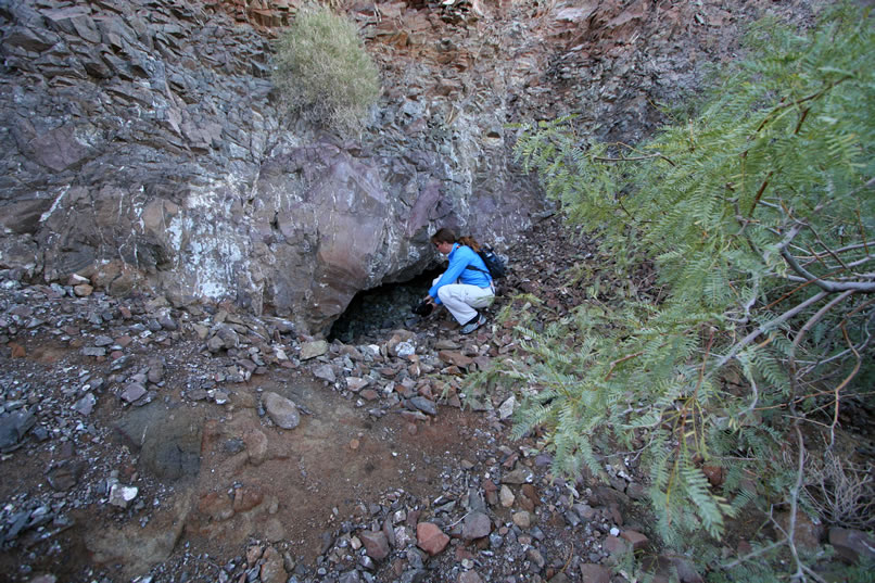 Early miners in the area tunneled into the hillside in an attempt to increase the flow of the spring.  This morning, only a faint hint of dampness can be discerned deeper in the tunnel.