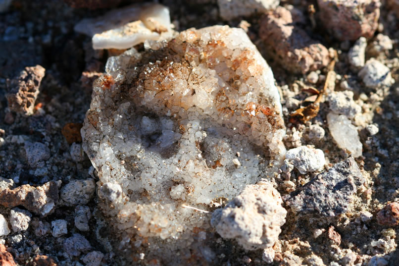 A quick survey turns up a few interesting rocks and some nice cacti.