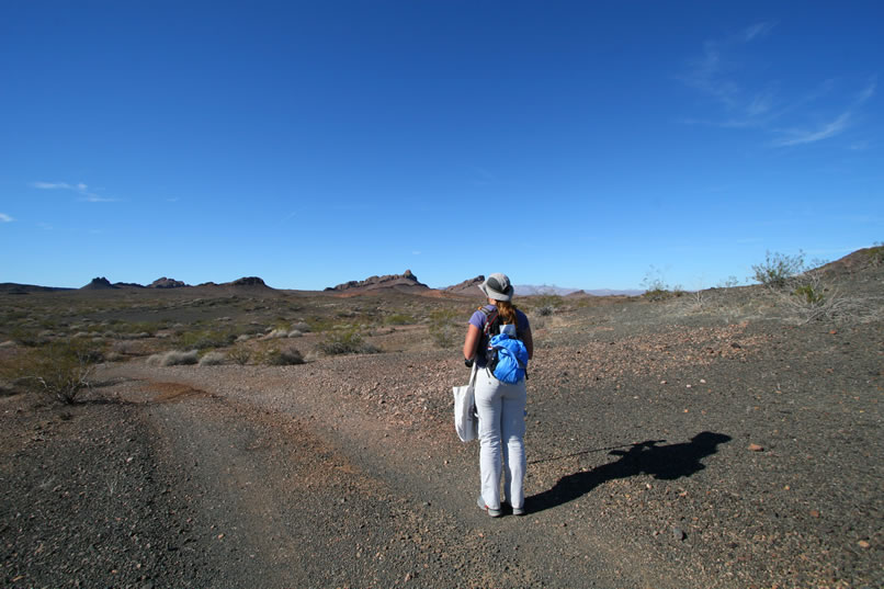 After parking near the cabin remains, we set off in different directions.  Mohave will be looking for evidence of a military camp used in the 1964 Desert Strike training operations, while the Dzrtgrls will hike into the wilderness area to the hills that you see directly in front of Niki.