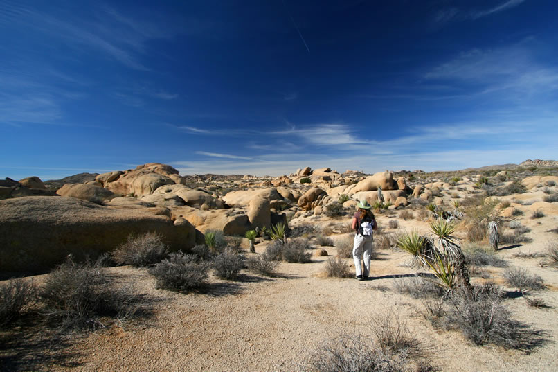 We're off!  Hiking anywhere in Joshua Tree National Park never involves a straight line.  Today would be no exception.  It's amazing that anyone can ever find anything out here!