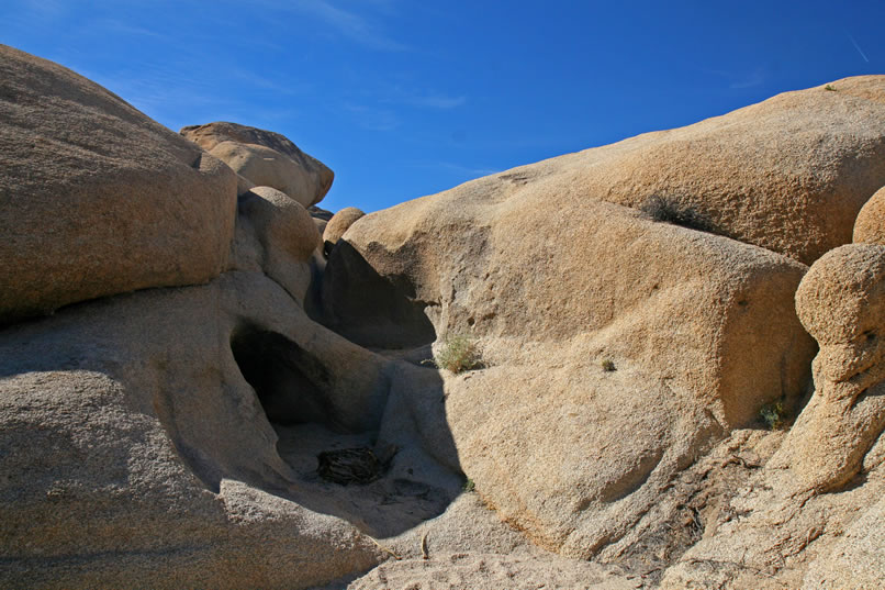 Even though it's been an exceptionally dry year, we're surprised to find a few damp spots tucked among the boulders that are being frequented by birds and small critters.