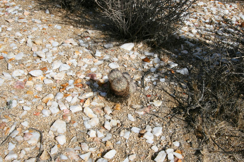 The ground is almost literally paved in quartz.