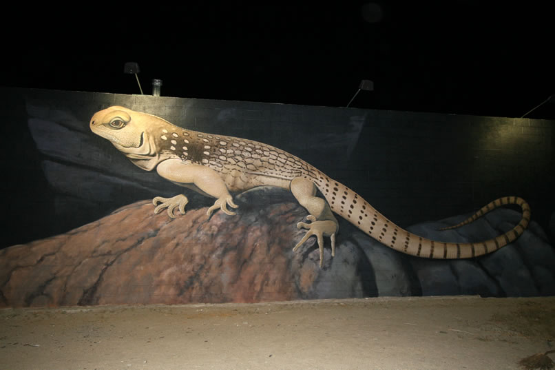 Twentynine Palms, as you probably know, is referred to as "The City of Murals."  Tonight, as we drive home, we spot one that we've missed in the past.  It's a gigantic desert iguana!  We just have to stop for a photo 'cause it's not every day that you see a forty foot long desert iguana!