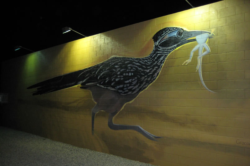 ...an even bigger road runner that scoops it up for dinner!  Wow, life and death on the desert, mural style!