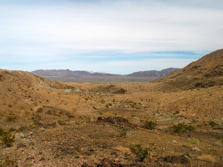 Looking back at the cabin site from the corner marker.