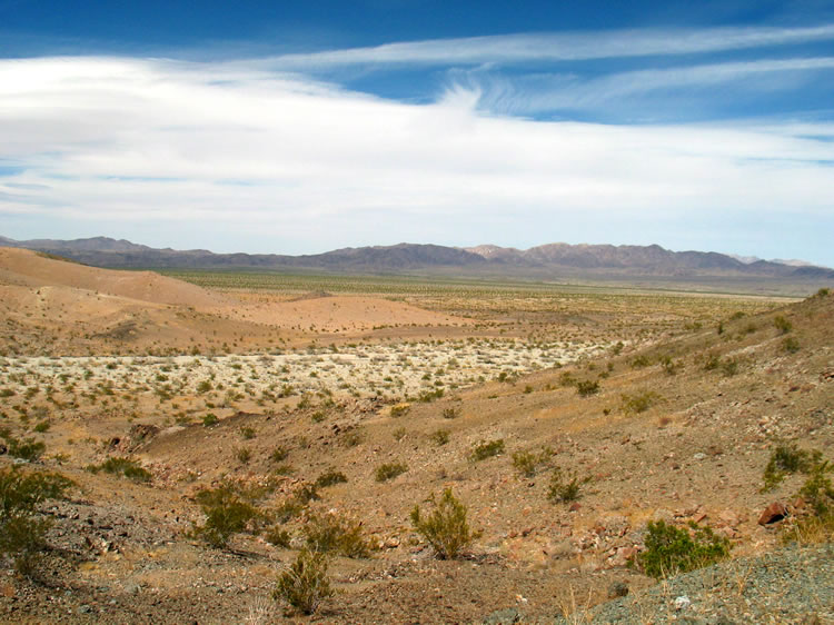 Looking into Pinto Basin from near the arrastra.