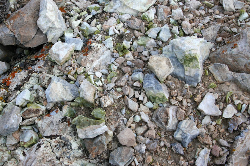 She's also come upon an outcrop of what appears at first to be common opal in a nice green color.
