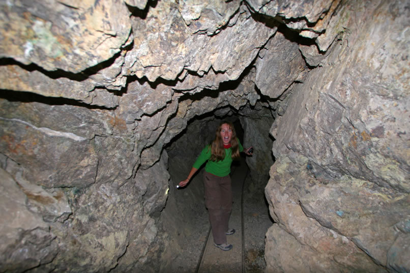 A cave troll from deep in the mine.