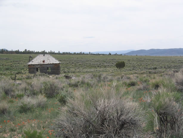 The old one room schoolhouse.