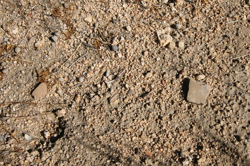 ......and we look low.  These two pottery fragments on the valley floor let us know we're in the right area.