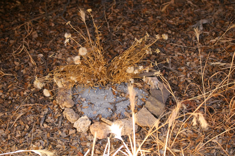 In one boulder pile we come upon what appears to be a modern shrine.  Such small rock circles were sometimes used as shrines and vision quest markers by prehistoric Indians.