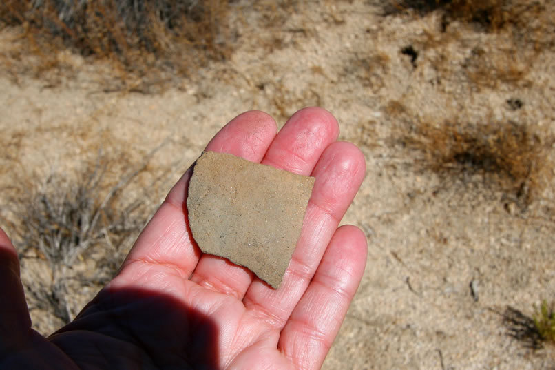 Another large pottery fragment just yards from the can lid reminds us who was here first!