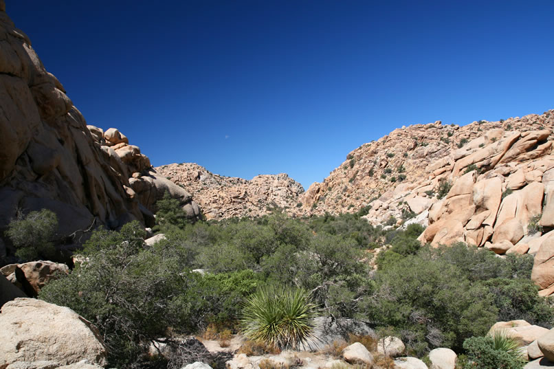 After a moderate hike, we're now returning to a rock shelter pictograph location that we've visited before.