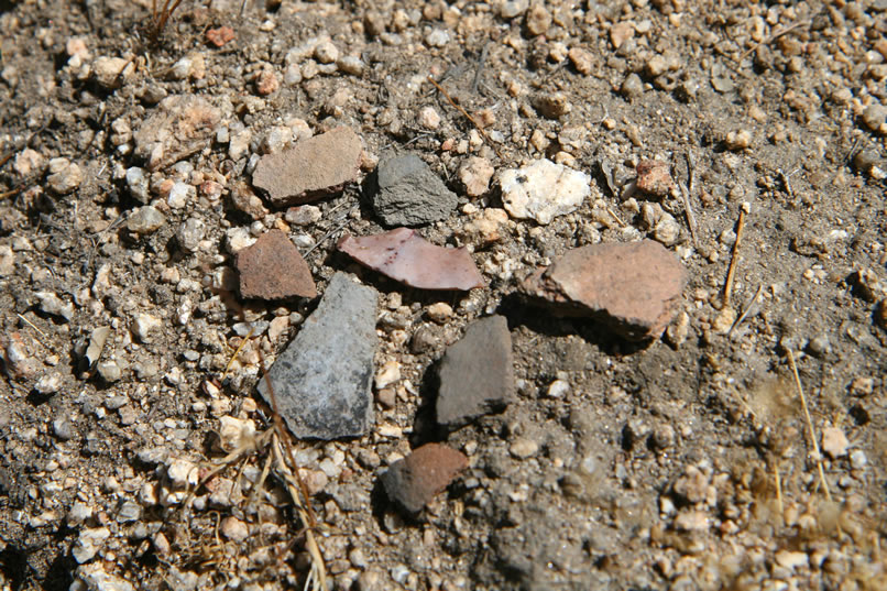 Some of the pottery pieces and a lithic chip can be seen in this close-up.