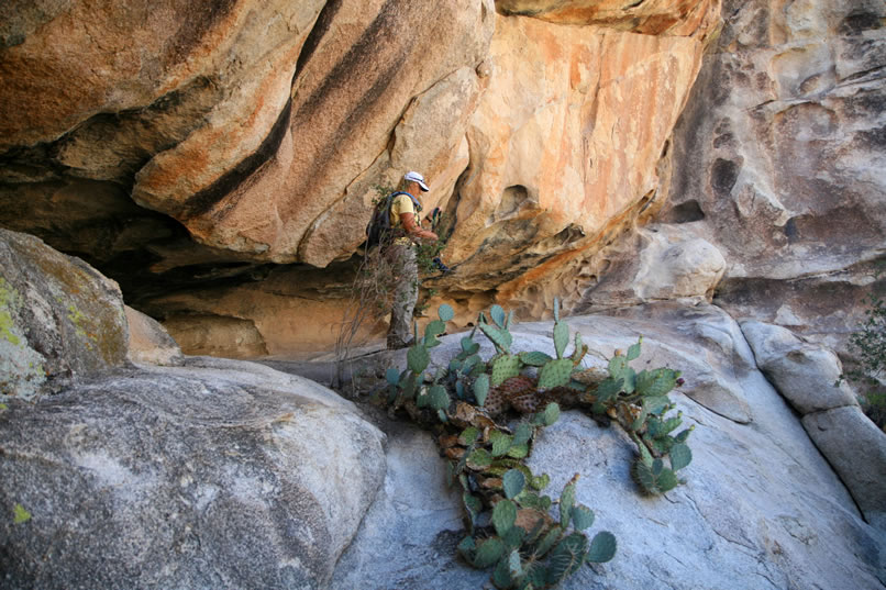 Jamie makes her way cautiously past the cactus and reaches the ledge outside the shelter.