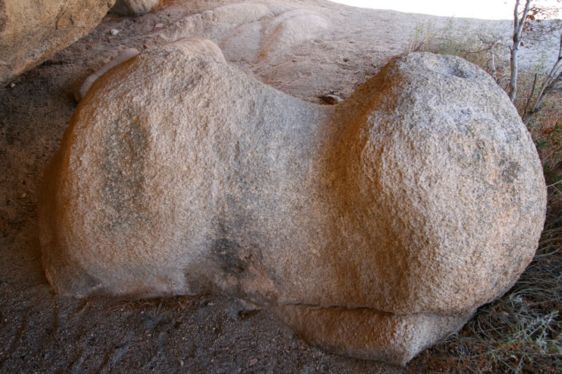 However, there is also something interesting that happens to the "animal" rock that you see here.  A few days before and a few days after the first day of spring, this peculiarly shaped rock is touched by a shaft of light that curves around the "head" of the rock to form what looks like the horns of a bighorn sheep!