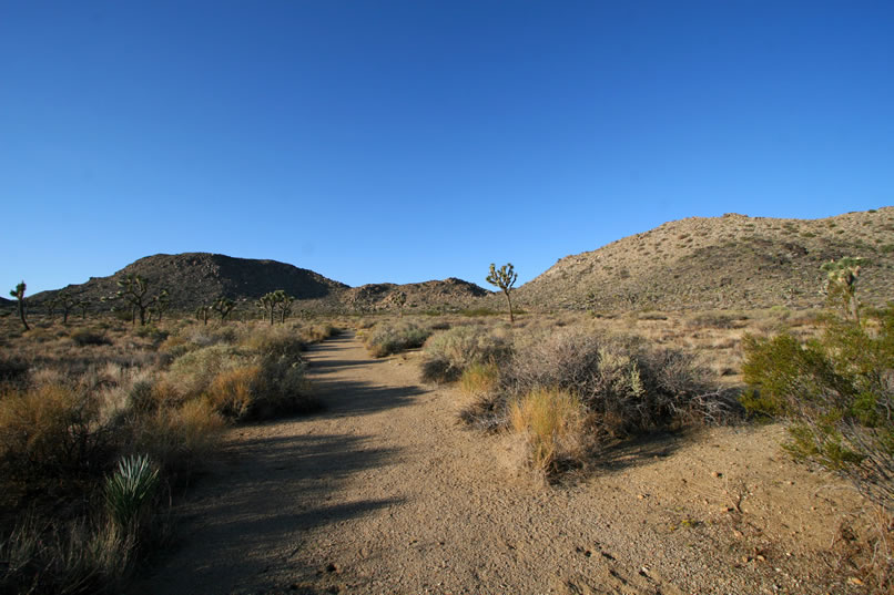 To complete our day of exploring, we've now driven to where we'll start our hike to the old Black Butte Mine.  The mine and camp remains are located just above the wash in which we're hiking.