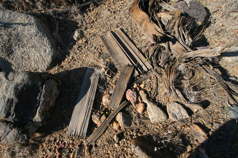 These desiccated boards have the familiar look of being from a box of dynamite.