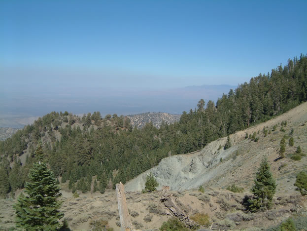 If you hike beyond the collecting area you will reach a trail leading to the scarp.