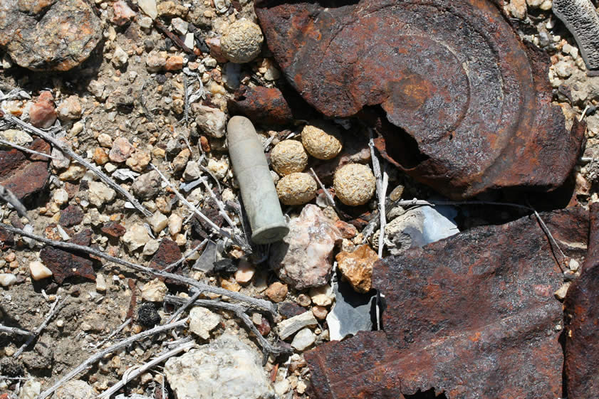 Niki found this old bullet.  It appears to be about four rabbit turds long by about one turd in diameter.  Heheheh.