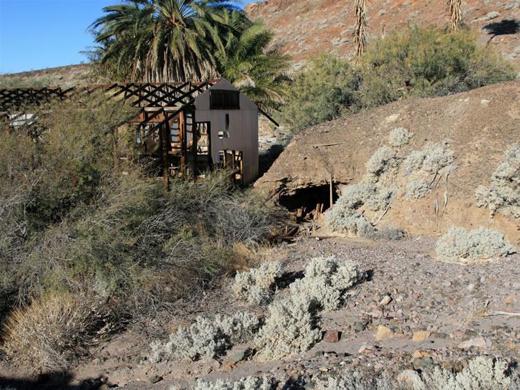 We finally make our way back to the vehicles via the palm trees which make the springs so scenic.  This view shows some of them behind one of the structures erected here during the talc mining era.
