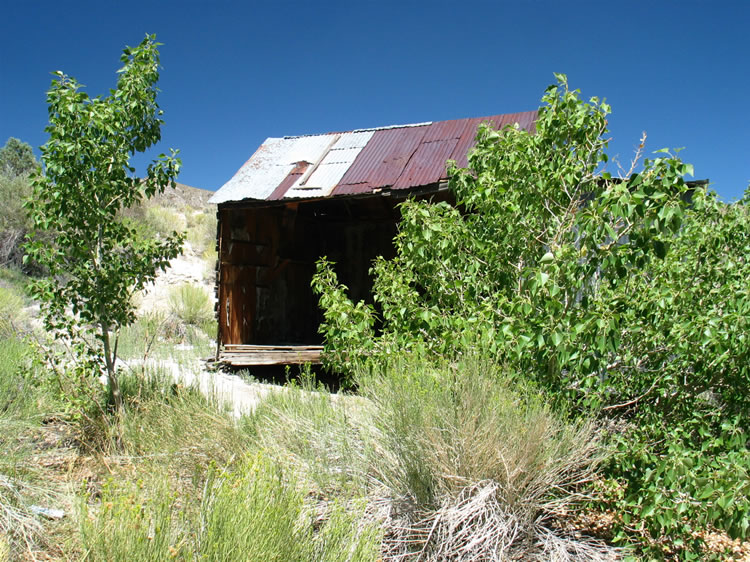 There's a little cabin not far from the spring that attracted our attention.