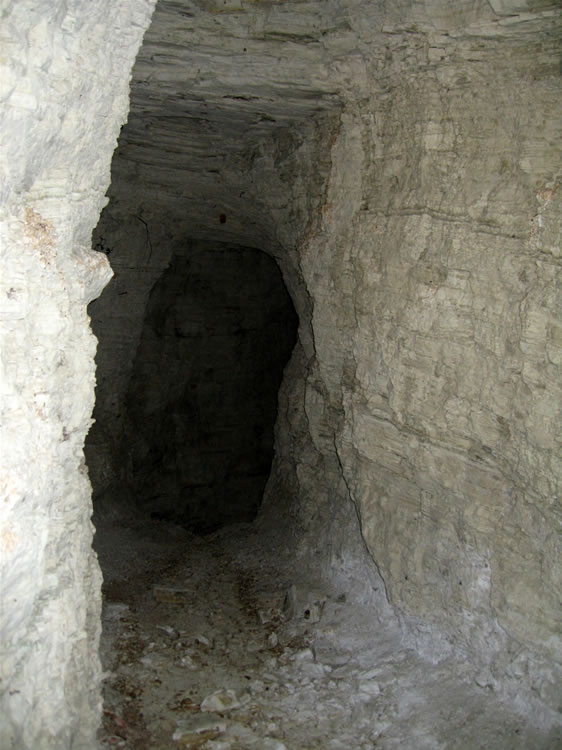 A look inside the tunnel.