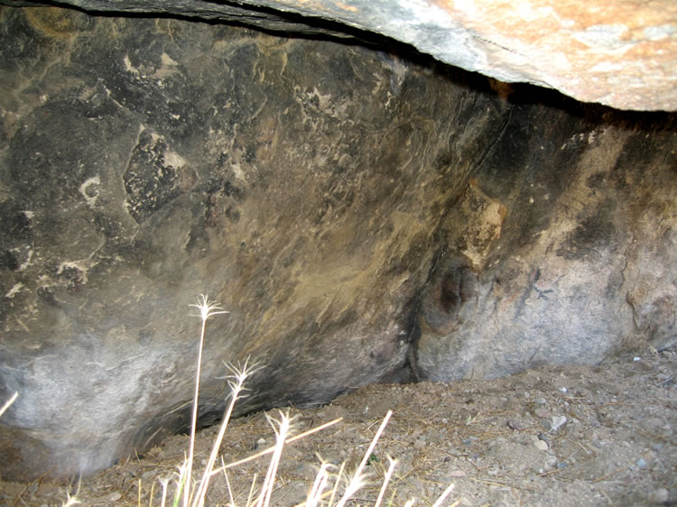 We don't have time to check out the petroglyphs which are further up the creek, but as we prowl the area we do make a discovery in the form of a rock shelter with pictographs!  We're not showing a wide angle view of the shelter in order to protect it.  We were quite surprised to find these sparse pictographs because we have never heard of any being in the area. To the right of the photo you can see part of a digitate anthropomorph with one arm out to the side ending in three fingers.