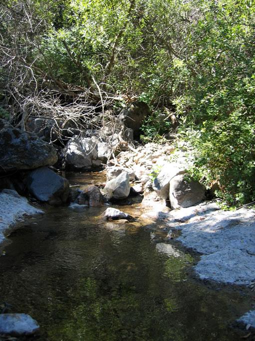 As the trail climbs, there are a couple of stream crossings. 