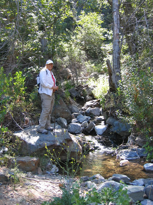 Jamie gets ready to cross the stream.