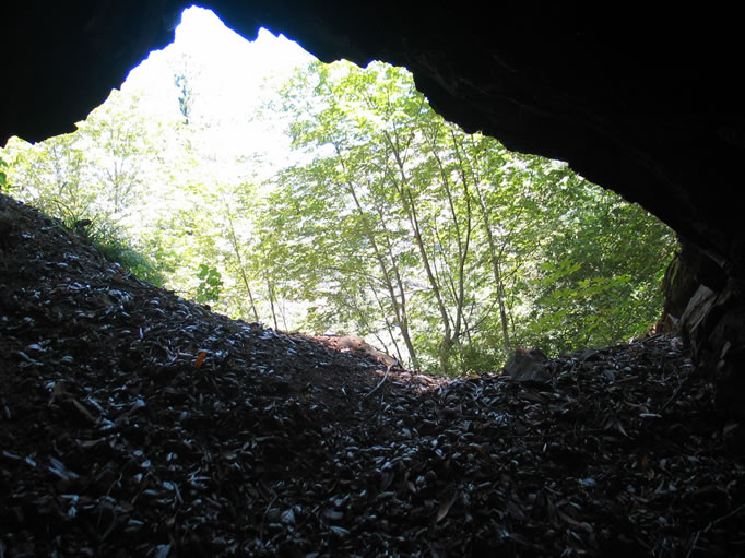 Looking out of the tunnel.