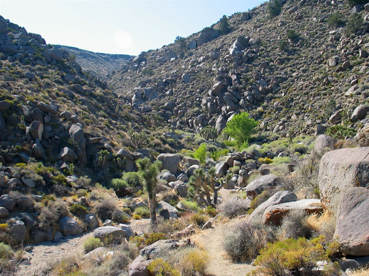 As we shoulder our daypacks we look up the canyon at the beginning of our route.