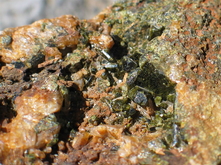 Niki finds an interesting rock with vugs filled with green crystals.