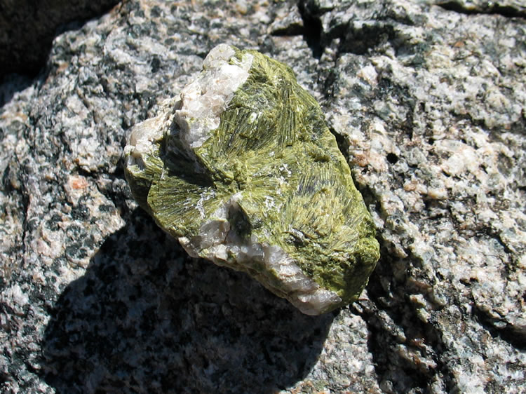 Another interesting find is this bit of what looks like actinolite.