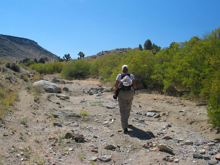 We're at about 6,300' now and the profusion of green ahead signals that we've arrived at the springs.