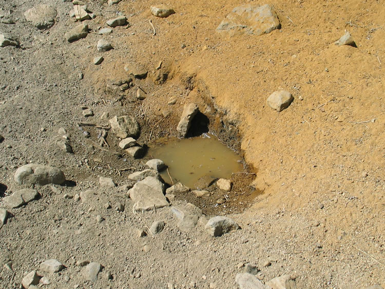 In fact, water is literally underfoot just about anywhere.  Here is one of many small holes pawed by the wild horses in order to gain access to it.