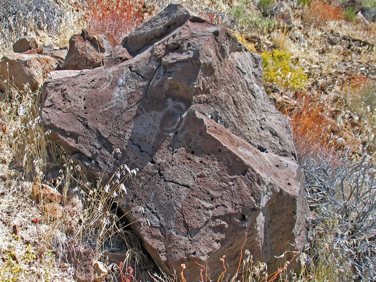 These large bighorn representations with boat shaped bodies are very typical of the Coso style of petroglyphs.